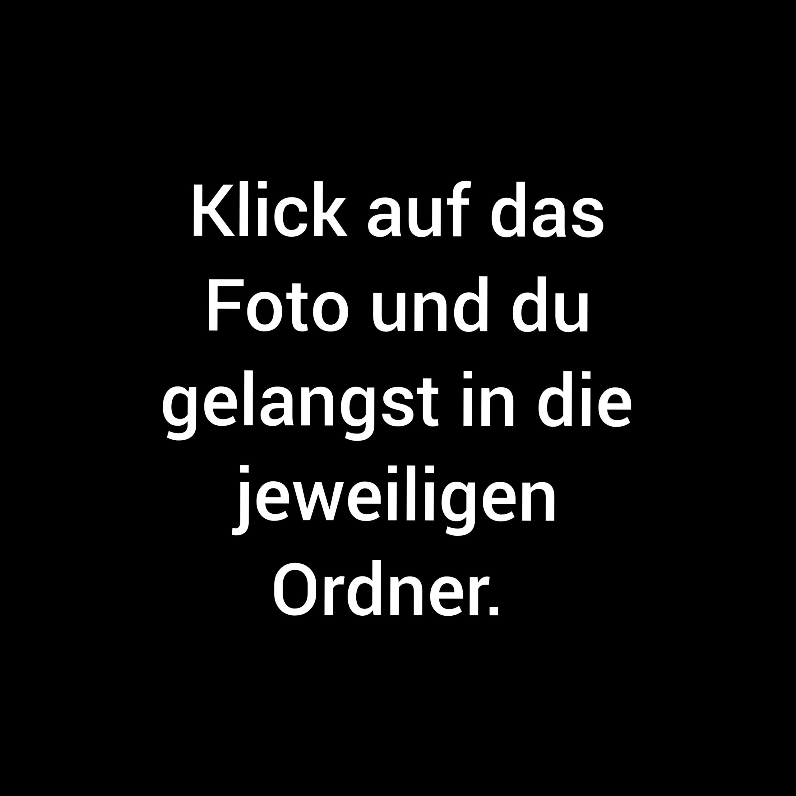 Um euch die Bilder in der Galerie anzusehen, klickt auf das Foto und ihr gelangt in das Album. 