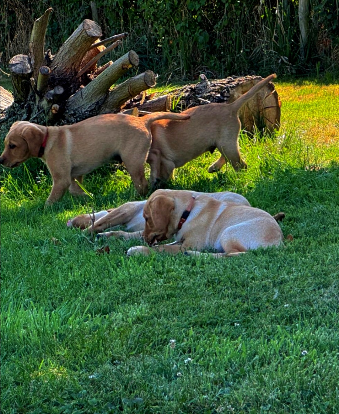 Polish 20250912 220131252