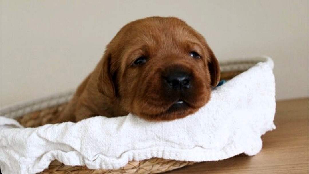 Polish 20251019 174107726