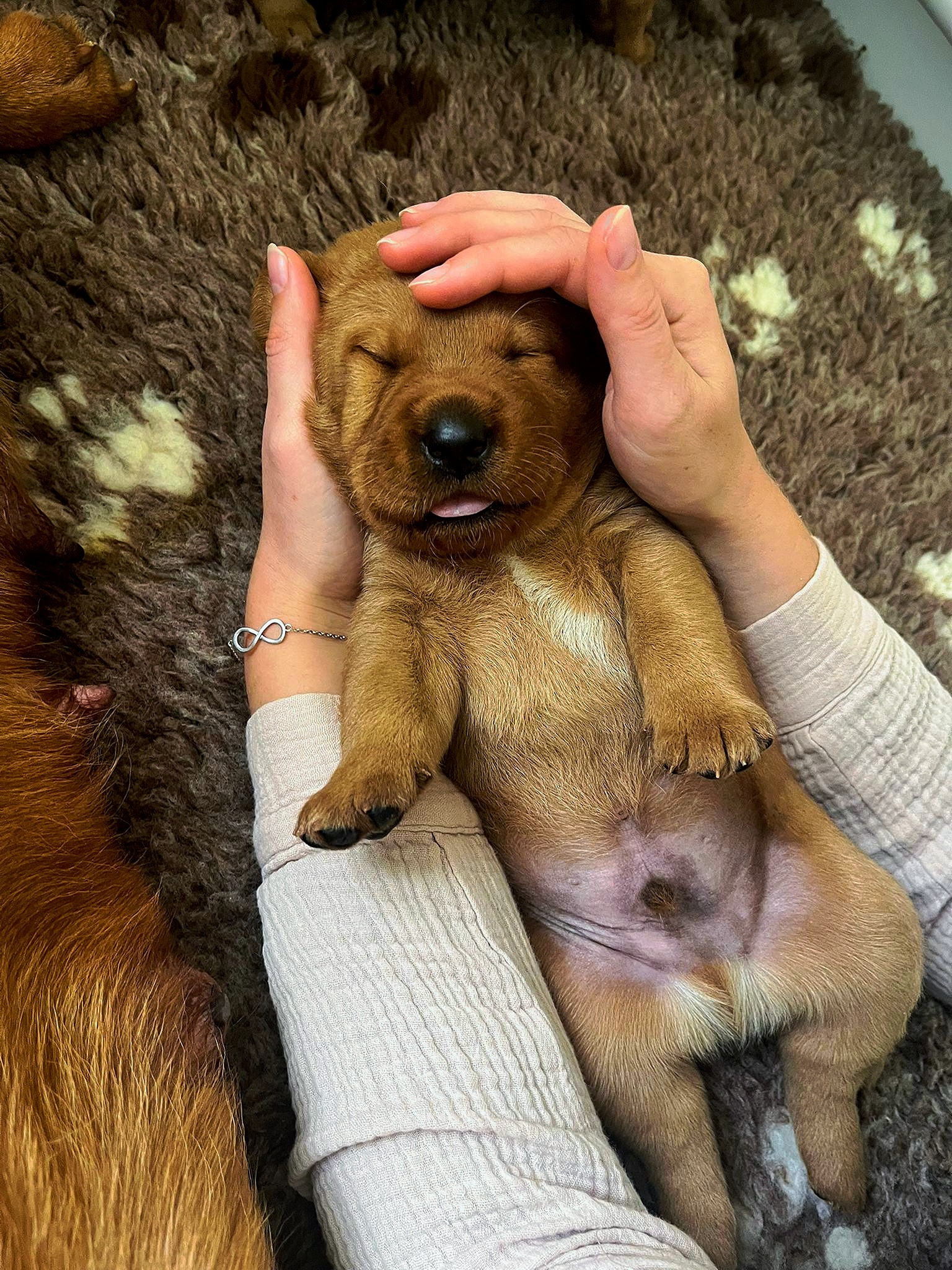 Polish 20251111 173203095