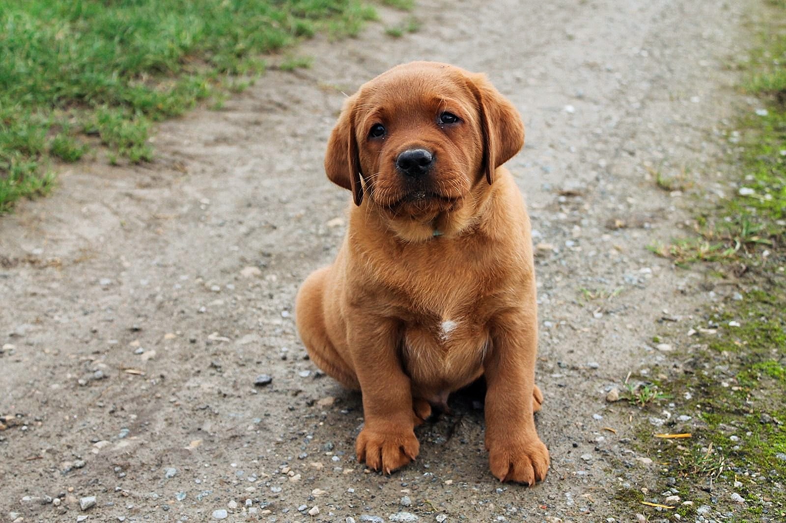 Polish 20251122 183813896