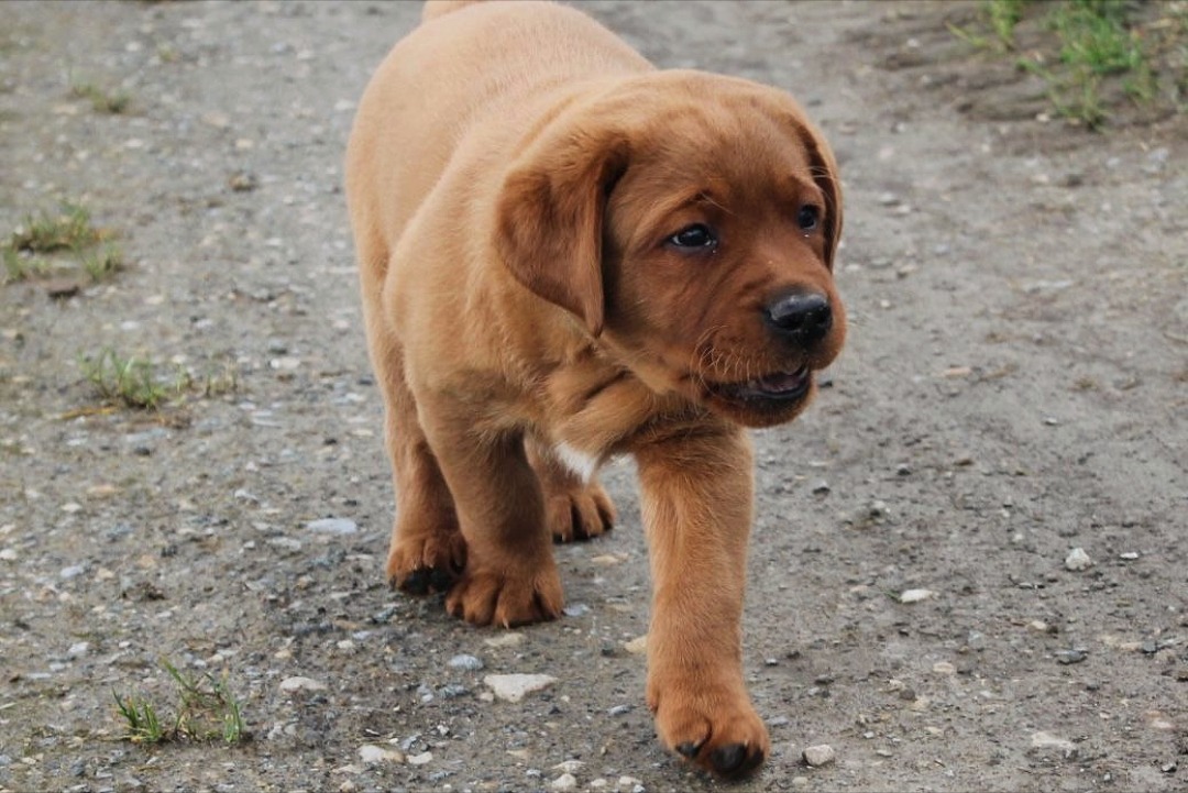 Polish 20251123 080712750