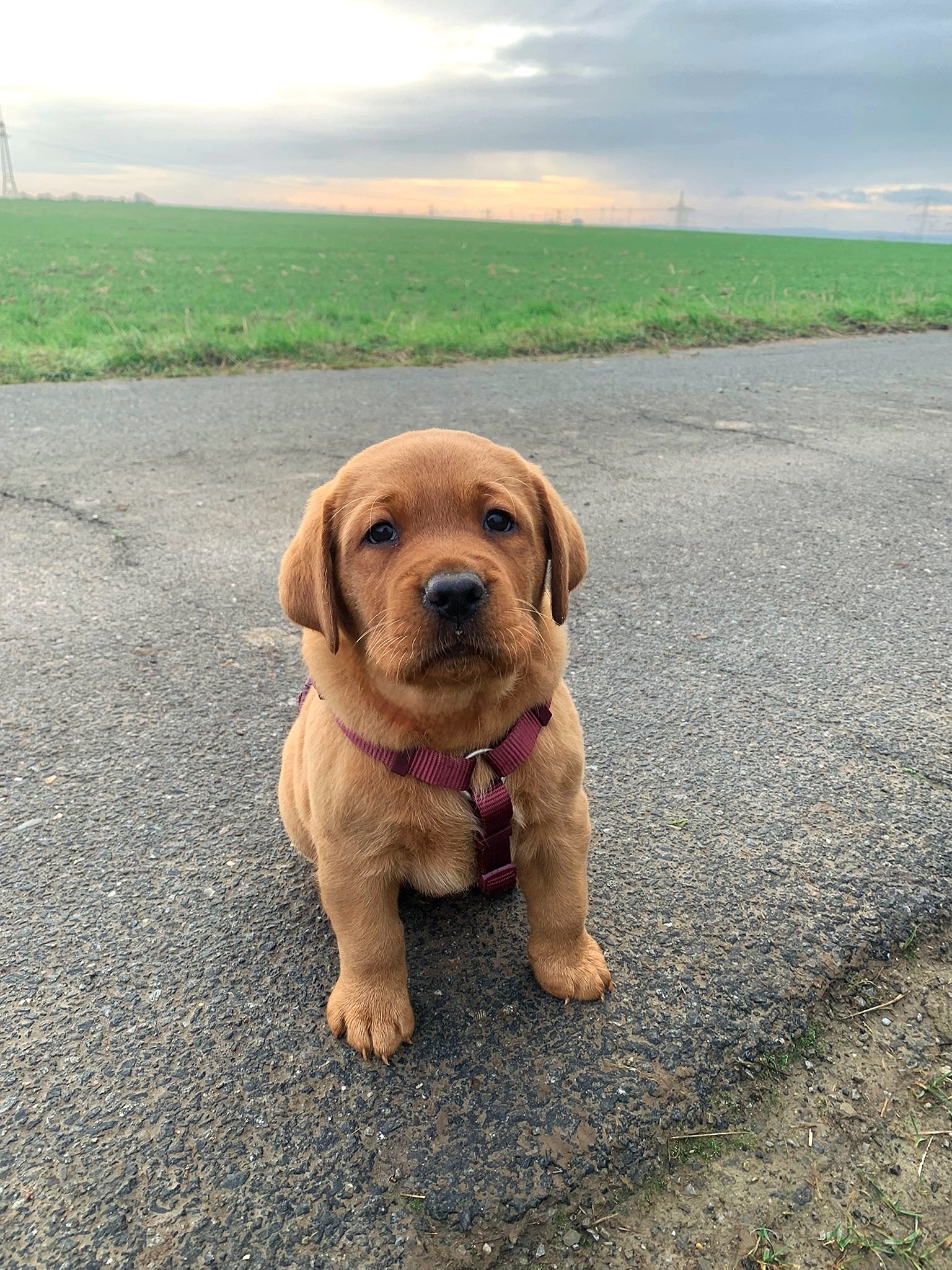 Polish 20251123 081408220