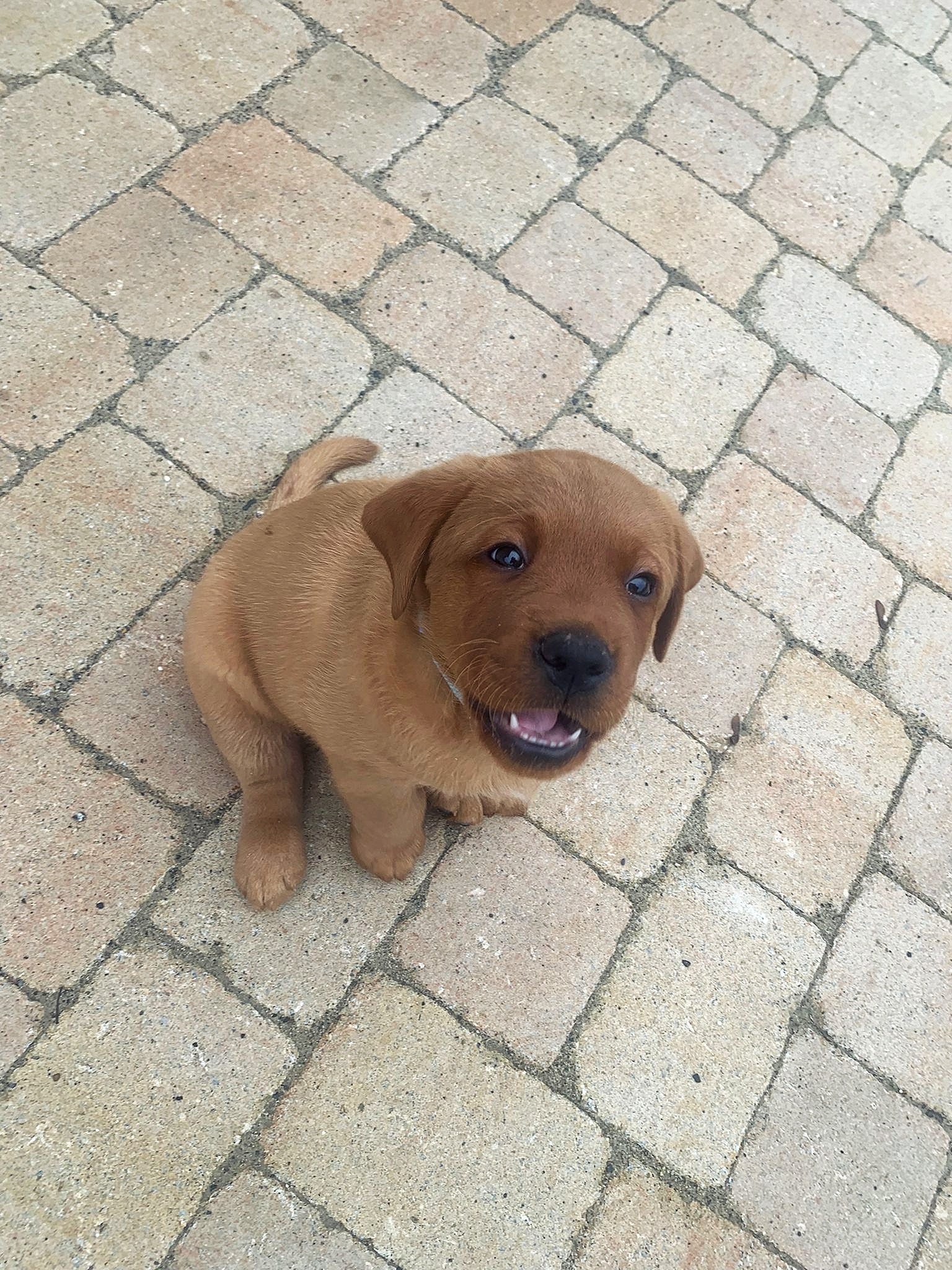 Polish 20251123 081601703