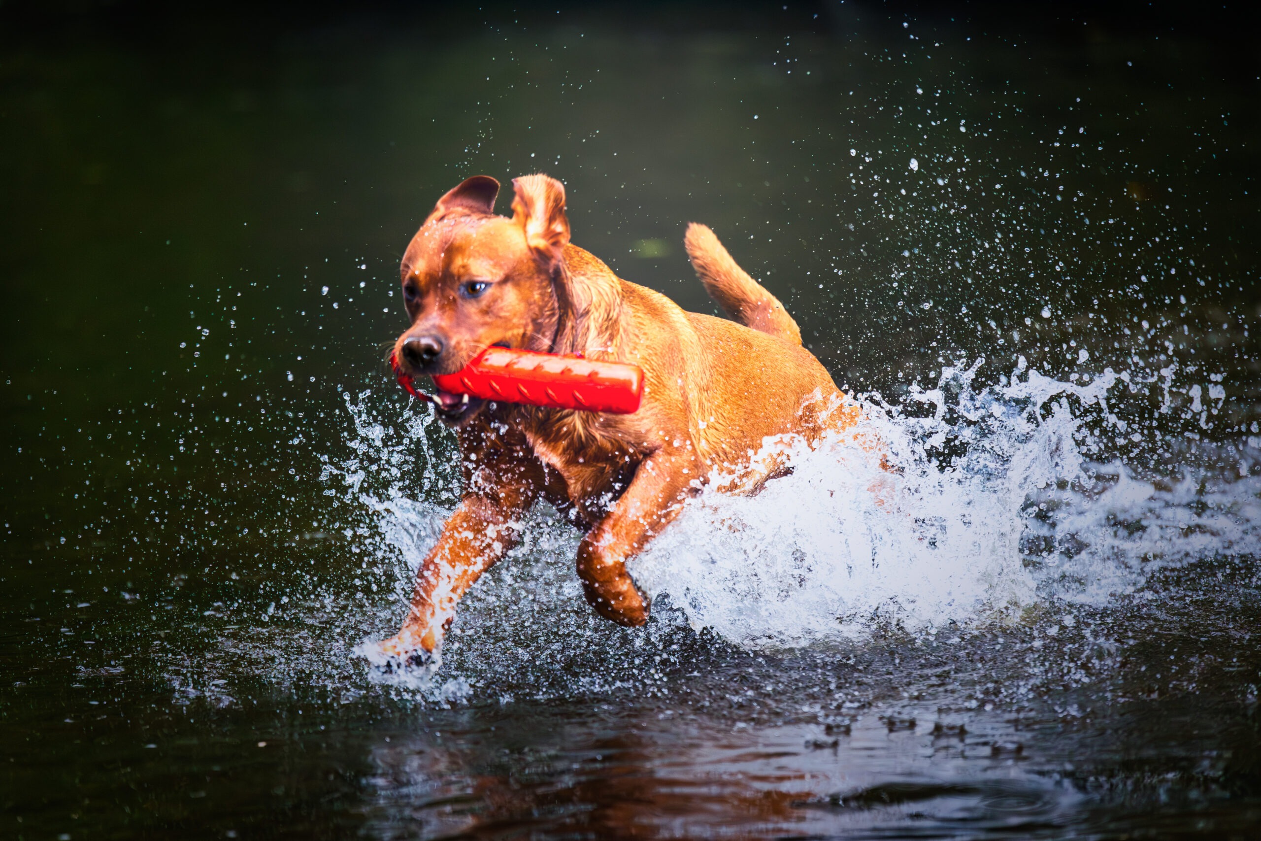  dsc0424 bearbeitet lp blau