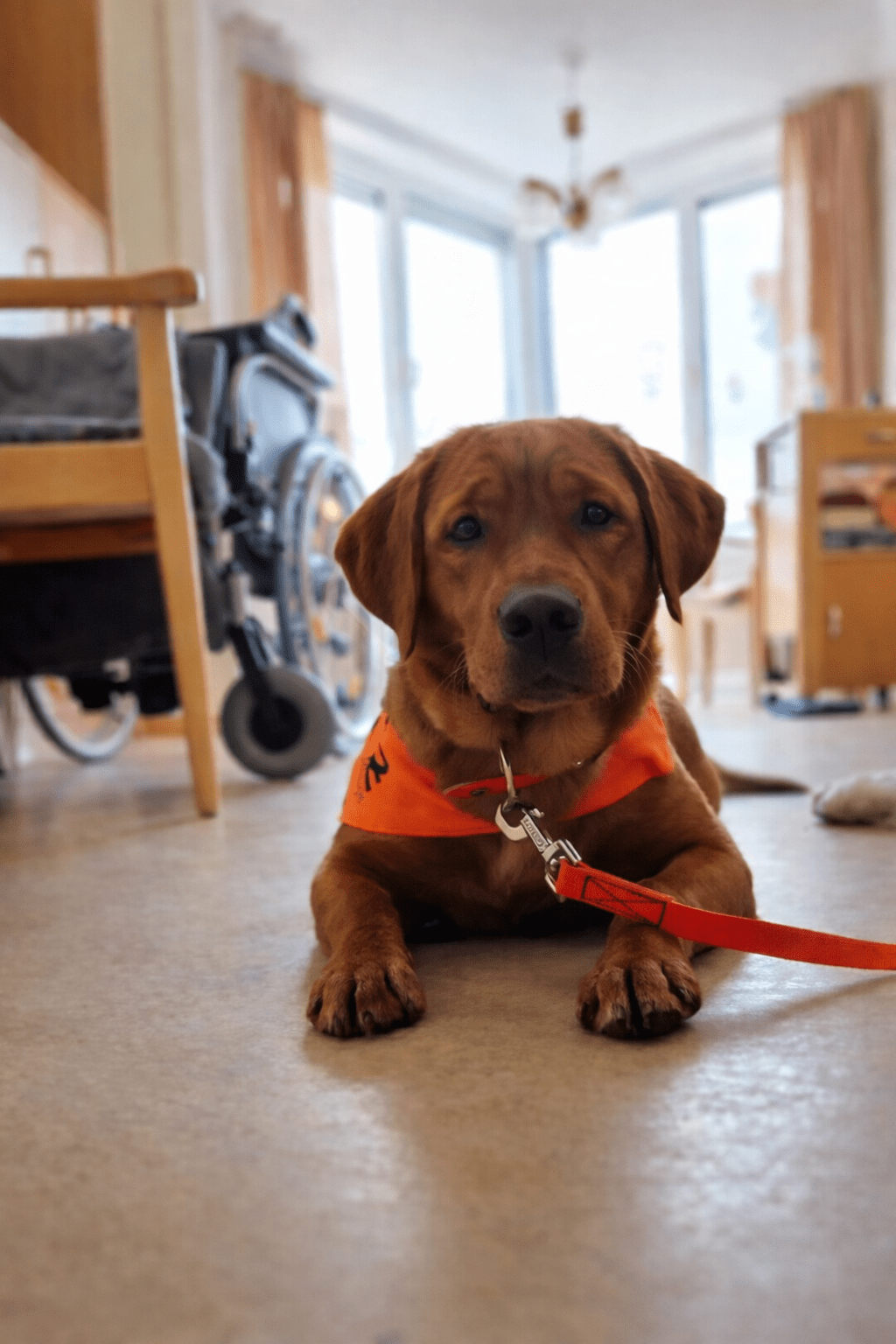 20. jan. 2026, 16 45 43