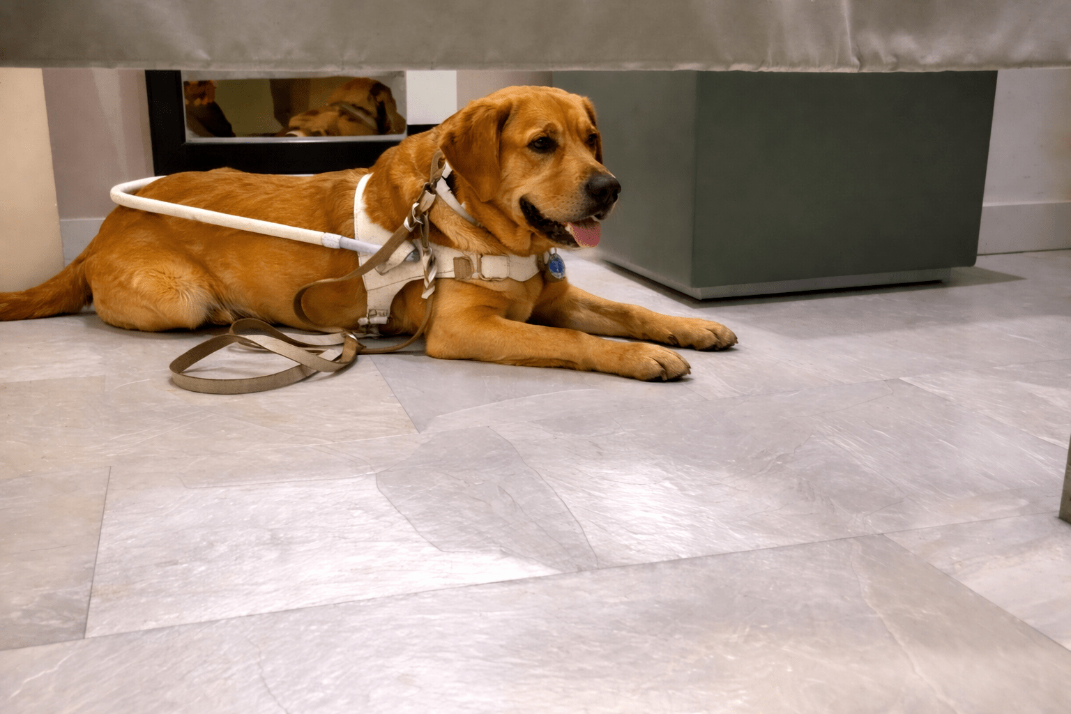 7. feb. 2026, 12 14 05