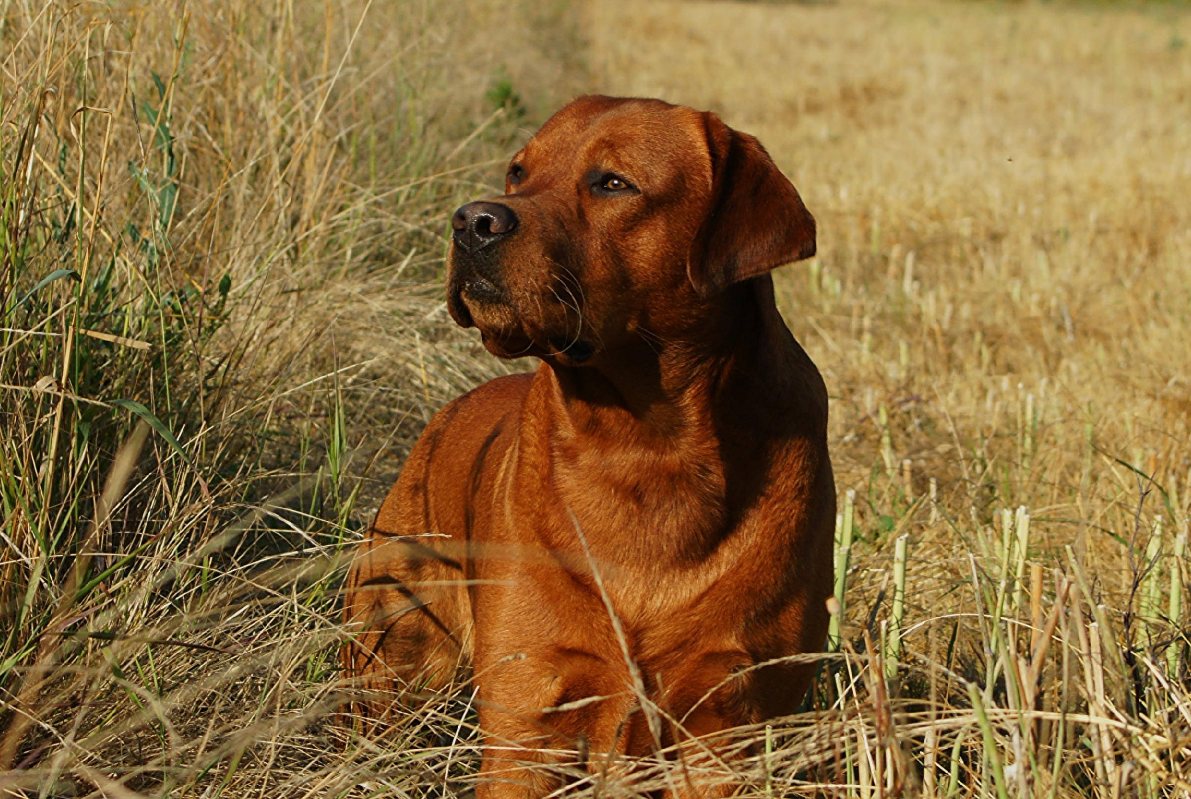 Dsc06615b